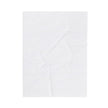 Ellen Velveteen Plush Blanket
